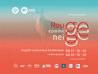 rouge comme neige.png